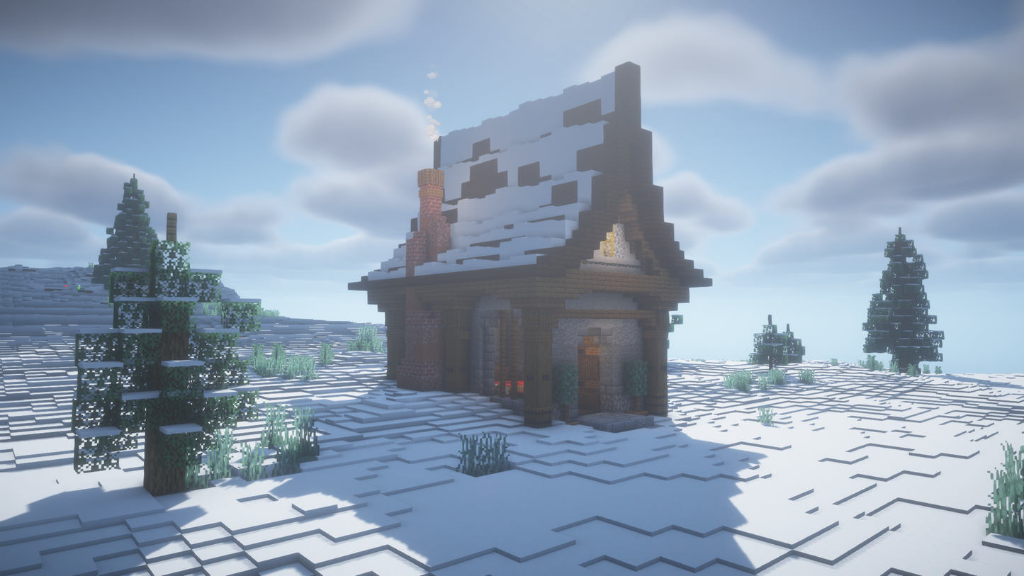 Winter House Pack