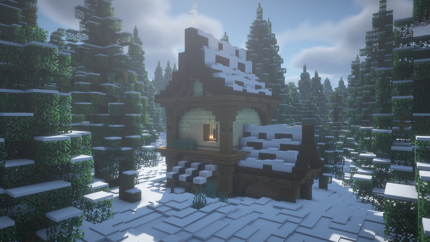 Winter House Pack
